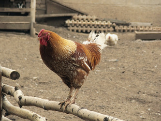 Similar image 839045