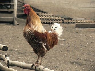 Similar image 839046