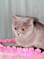 Similar image 839047