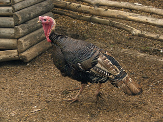 Similar image 839049