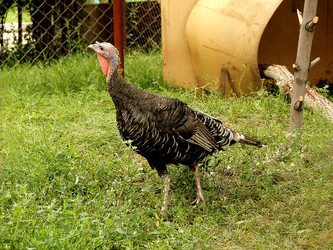 Similar image 839051