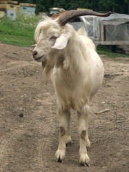 Similar image 839053