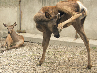 Similar image 839054