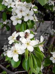 Similar image 839056