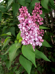 Similar image 839057