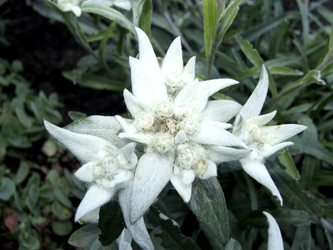 Similar image 839065