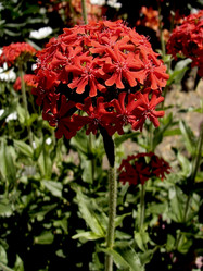 Similar image 839068