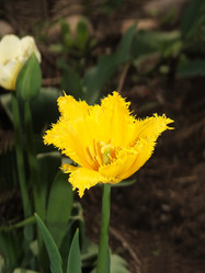 Similar image 839071