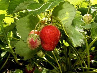 Similar image 839072