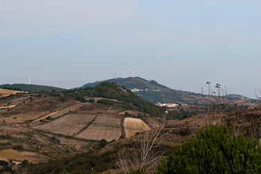 Similar image 839098