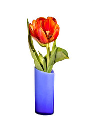 Similar image 839107