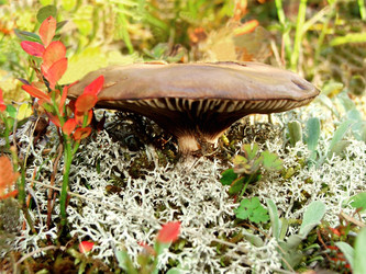 Similar image 839114