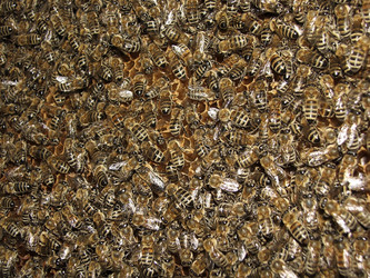 Similar image 839143