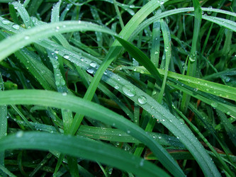 Similar image 839146