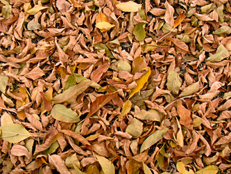 Similar image 839150