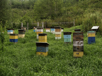 Similar image 839157