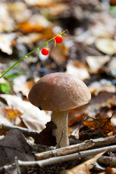 Similar image 839173