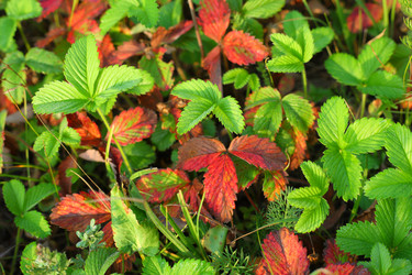 Similar image 839203