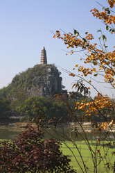 Similar image 839220