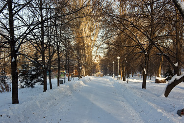 Similar image 839223