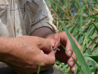 Similar image 839236