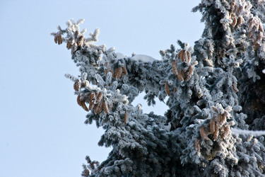 Similar image 839251