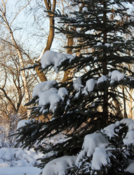 Similar image 839252