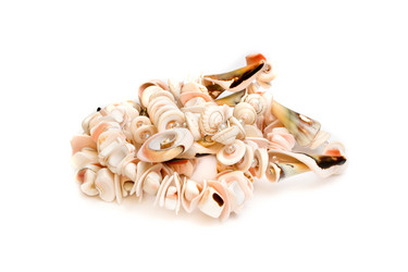 Similar image 839372