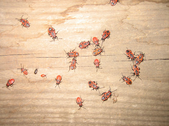 Similar image 839386