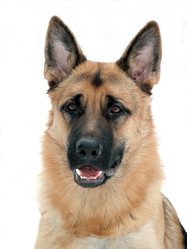 Similar image 839401