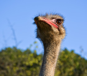 Similar image 839497