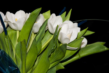 Similar image 839498