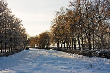 Similar image 839511