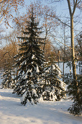 Similar image 839515