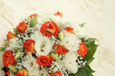 Similar image 839541