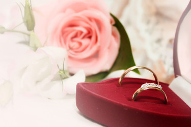 Similar image 839544