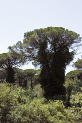 Similar image 839574