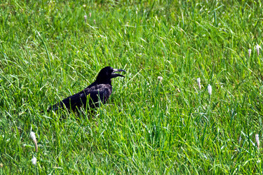 Similar image 839592