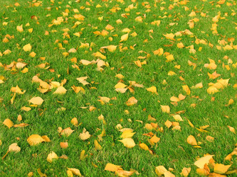 Similar image 839611