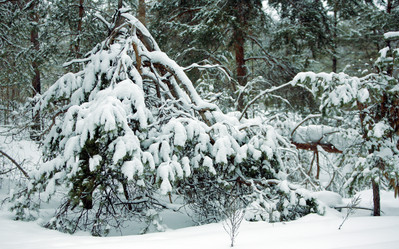 Similar image 839640