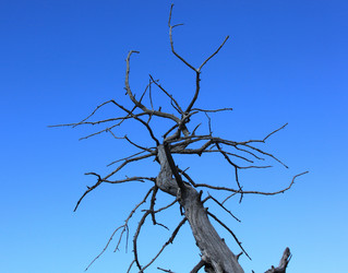 Similar image 839641