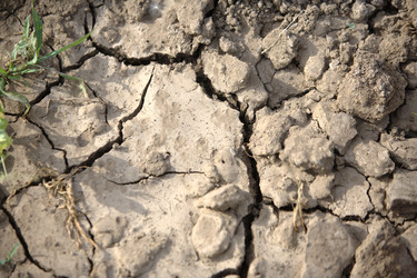 Similar image 839644