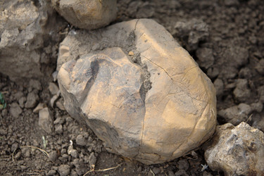 Similar image 839645