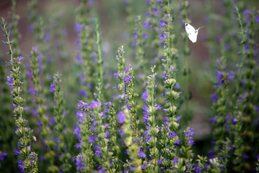 Similar image 839648