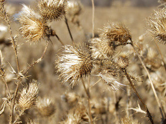 Similar image 839654