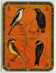 Similar image 839679