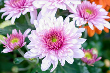 Similar image 839737