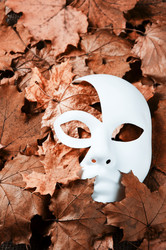 Similar image 839742