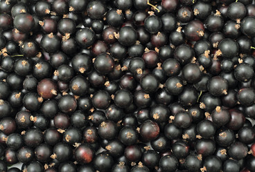 Similar image 839806