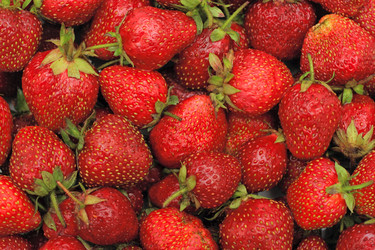 Similar image 839807